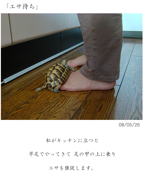 GT҂